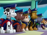 Replay Paw Patrol, la Pat'Patrouille - Sauvetage Extrême : Les petits chats du roi ont disparu