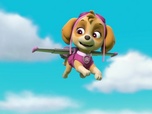 Replay Paw Patrol, la Pat'Patrouille - Le baleineau