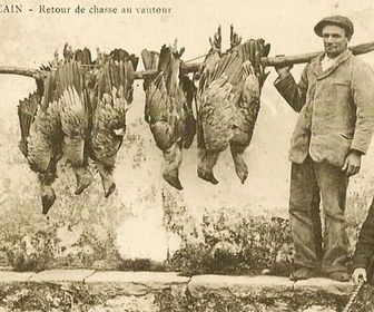 Replay Invitation au voyage - 20/01/2026 - Dans les Pyrénées, des vautours et des hommes