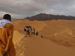 Replay Élément Terre - Il pleut au Sahara et c'est un effet du réchauffement climatique