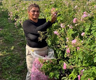 Replay L'or rose bulgare : quel avenir ? - ARTE Regards