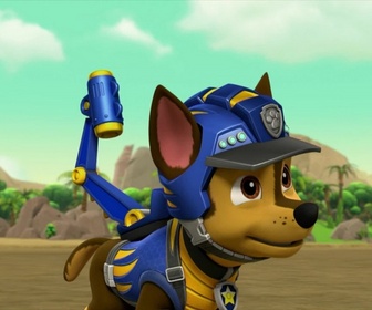 Replay Paw Patrol, la Pat'Patrouille - Mission Dino : Le ptérodactyle