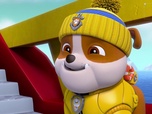 Replay Paw Patrol, la Pat'Patrouille - La Pat'Patrouille des Mers sauve un narval