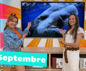 Replay Okoo-koo - 09/09/2026