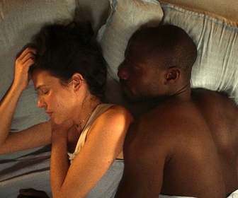 Replay Court-circuit - Araucaria