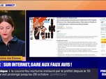 Replay C'est votre vie - Sur Internet, les avis en ligne sont de plus en plus consultés, mais ils ne sont pas toujours fiables