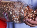 Replay ARTE Journal - Pour une autosuffisance alimentaire à Gaza
