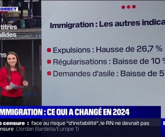 Replay BFM Story - LES ÉCLAIREURS - Les chiffres de l'immigration en 2024