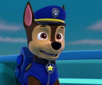 Replay Paw Patrol, la Pat'Patrouille - Leçon de ski nautique