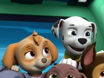 Replay Paw Patrol, la Pat'Patrouille - Mission secrète : La calèche royale