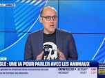 Replay Culture IA : Google, une IA pour parler avec les animaux, par Anthony Morel - 22/04