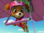 Replay Paw Patrol, la Pat'Patrouille - Sur la route avec Stella : Le Parc de l'Os dOr