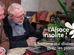 Replay L'Alsace insolite - L'homme qui dialogue avec les plantes