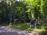 Replay E=M6 Family - Comment les animaux font-ils pour se soigner dans la nature ?