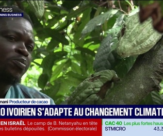 Replay Good Morning Business - Le cacao ivoirien s'adapte au changement climatique