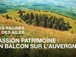 Replay Des Racines et Des Ailes - Passion patrimoine : un balcon sur l'Auvergne
