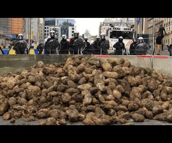 Replay Les agriculteurs protestent à nouveau à Bruxelles alors que l'UE révise la PAC