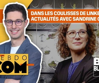 Replay Hebdo Com - Linkedin est-il devenu l'Instagram du travail ?
