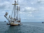 Replay Les pinisis d'Indonésie, l'art de construire des bateaux - 360° Reportage