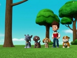 Replay Paw Patrol, la Pat'Patrouille - La Pat'Patrouille sauve les pirates