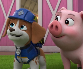 Replay Ruben & cie - La précieuse eau