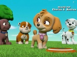 Replay Paw Patrol, la Pat'Patrouille - Dans la peau de Galinetta