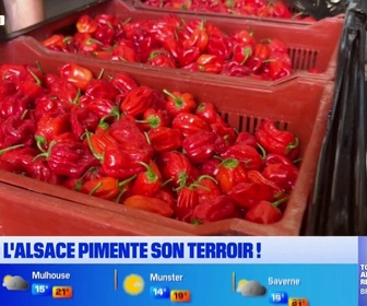 Replay Les longs formats des Locales - Le piment se cultive aussi en Alsace