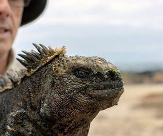 Replay Planète Terre - Espèces en voie d'adaptation