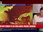 Replay BFM Grand Soir