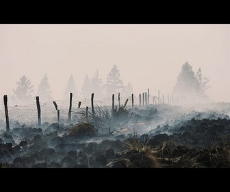 Replay Belgique : l'incendie des Hautes Fagnes est encerclé mais la situation reste compliquée