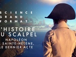 Replay Science grand format - L'histoire au scalpel - Napoléon à Sainte-Hélène : le dernier acte