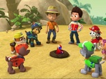 Replay Paw Patrol, la Pat'Patrouille - Le perroquet en danger