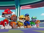 Replay Paw Patrol, la Pat'Patrouille - La grande tombola