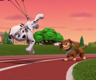 Replay Paw Patrol, la Pat'Patrouille - Les championnes de Pop Pop Boogie