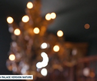 Replay Un jour, un doc - Un palace version nature