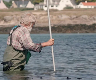 Replay 13h15, le dimanche - , le dimanche - Les cueilleurs de la mer