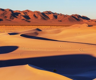 Replay Algérie, grande bleue, grand sud - Émission du mercredi 11 décembre 2024