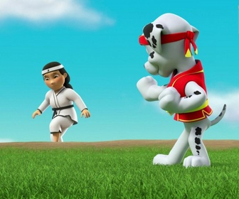 Replay Paw Patrol, la Pat'Patrouille - Maître Yumi