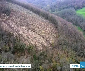 Replay Les dossiers d'ICI - 23/11/2025