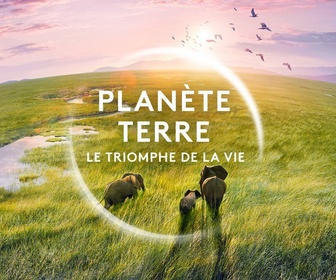 Replay Planète Terre - Le triomphe de la vie