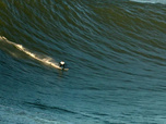 Replay Le grand show de la nature - Chasseurs de grosses vagues