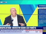 Replay Tout pour investir - Le placement à suivre : Diversification, investir dans les forêts - 03/02