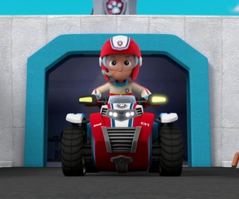 Replay Paw Patrol, la Pat'Patrouille - Alex et sa mini-patrouille
