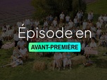 Replay L'amour est dans le pré - 20 ans - Épisode 2 - Partie 1
