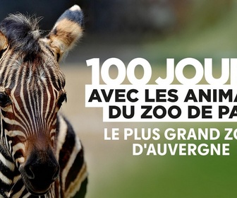 Replay 100 jours avec les animaux du Pal : le plus grand zoo d'Auvergne