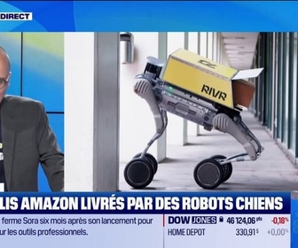 Replay Good Morning Business - Des colis Amazon livrés par des robots chiens