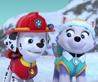 Replay Paw Patrol, la Pat'Patrouille - L'oursonne polaire