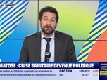 Replay L'Edito de Raphaël Legendre : Dermatose, crise sanitaire devenue politique - 15/12