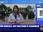 Replay Le Dej Info