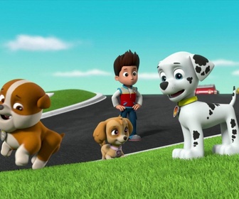 Replay Paw Patrol, la Pat'Patrouille - La surprise de Ryder